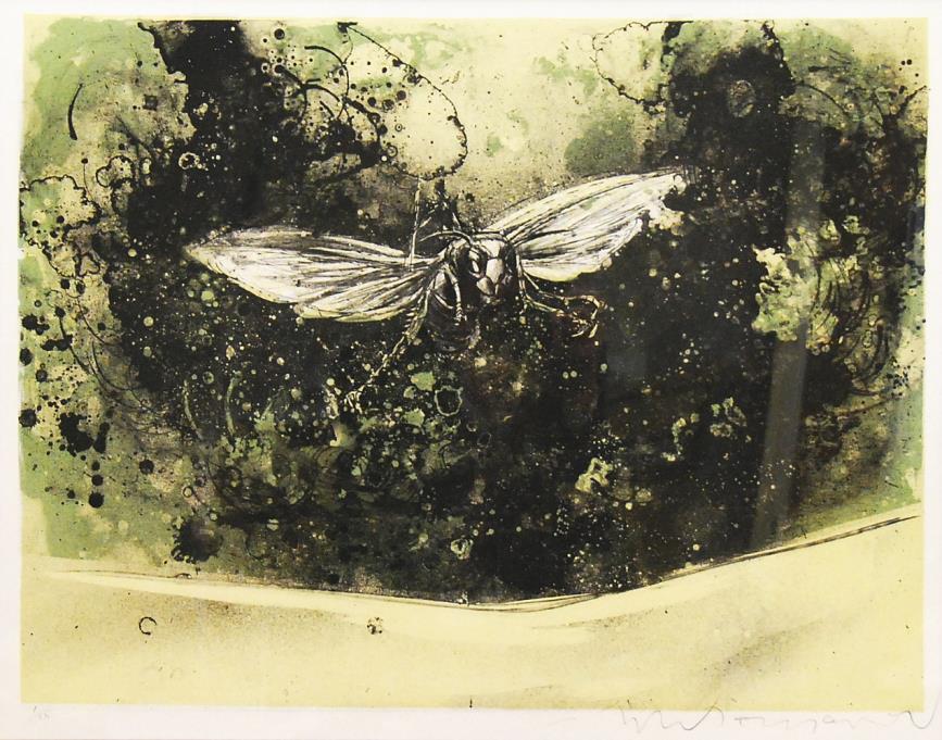 蜂に乗るドン・キホーテ